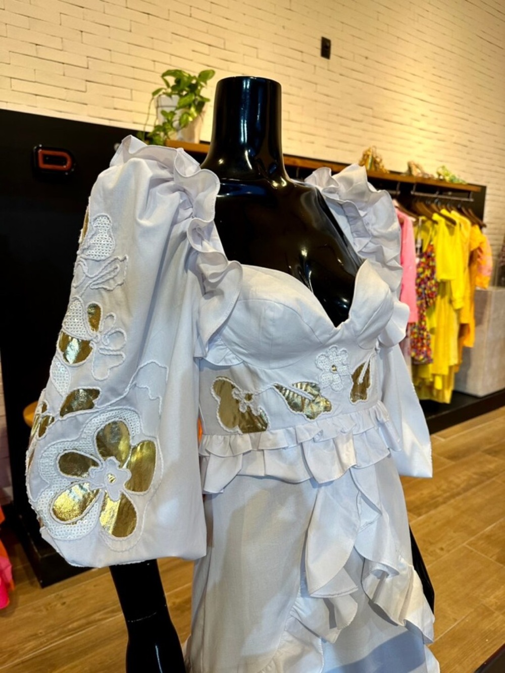Eduardo Amarante Puff sleeve Dress